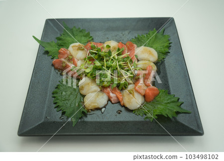 日式扇貝和鮭魚生牛肉片 103498102