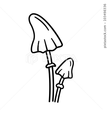 Poisonous mushrooms. Hand drawn sketch icons of forest plants. Amanita virosa. Botanical isolated vector illustration in doodle line style. Poisonous mushrooms. Hand drawn sketch icons of forest plants. Amanita virosa. Botanical isolated vector illustration in doodle line style. 103498336