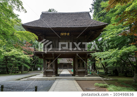 保留著武藏國遺蹟的平輪寺象徵的寺門 保留著武藏國遺蹟的平輪寺象徵的寺門 103498636