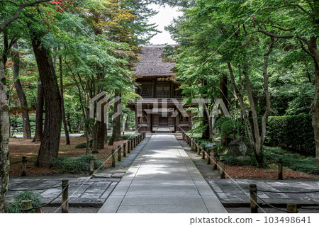 保留著武藏國遺蹟的平輪寺象徵的寺門 103498641