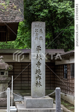 Stone monument in the natural monument Heirinji precinct forest [Niiza City, Saitama Prefecture] 103498643