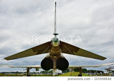 F-4EJ fighter on display at Ibaraki Airport F-4EJ fighter on display at Ibaraki Airport 103498688