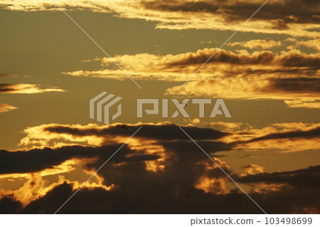 夏日黎明天空，日出時有各種雲 Sky/Sky main/Telephoto/220730am 103498699