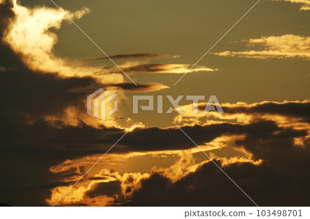 夏日黎明天空，日出時有各種雲 Sky/Sky main/Telephoto/220730am 103498701