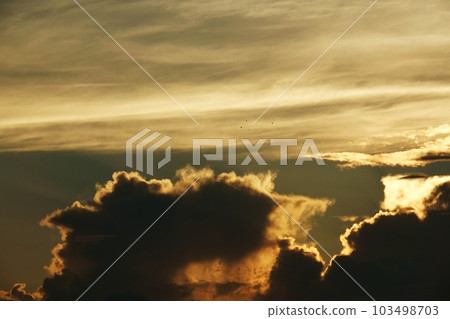 夏日黎明天空，日出時有各種雲 Sky/Sky main/Telephoto/220730am 103498703