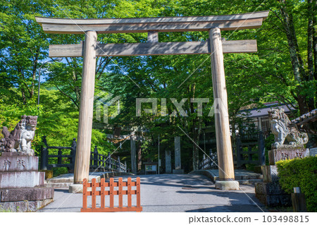 古峰神社境內的鳥居，新綠季節，鹿沼市 103498815