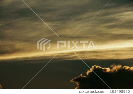 夏日黎明天空，日出時有各種雲 Sky/Sky main/Telephoto/220730am 103498930