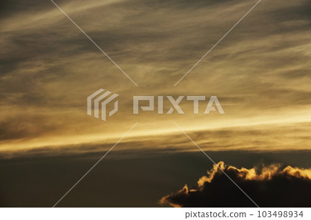 夏日黎明天空,日出時有各種雲 Sky/Sky main/Telephoto/220730am 夏日黎明天空,日出時有各種雲 Sky/Sky main/Telephoto/220730am 103498934