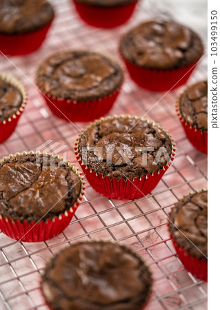 Cooling freshly baked chocolate peppermint cupcakes on a kitchen counter. 103499150