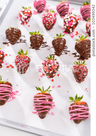 Decorating chocolate-covered strawberries with chocolate drizzles and sprinkles. Decorating chocolate-covered strawberries with chocolate drizzles and sprinkles. 103499342
