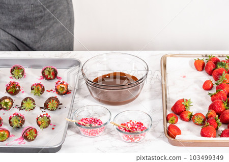 Dipping strawberries into the melted chocolate to prepare chocolate-covered strawberries. 103499349