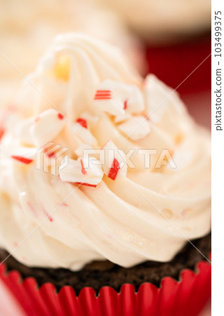 Freshly baked chocolate cupcakes with peppermint frosting and decorating with crushed peppermint candy cane candies. 103499375