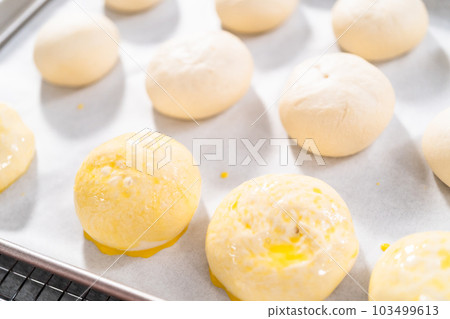 Risen dinner rolls on a baking sheet lined with parchment paper before baking. 103499613