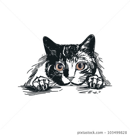 Peeking Cat, Cheerful kitty peeking out 103499828