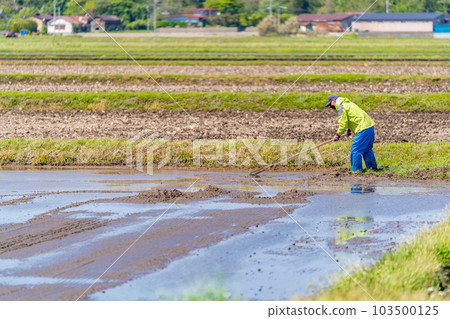 Rice planting, puddling, spring, handle 103500125