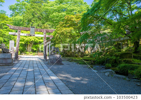 Torii in the precincts of Furumine Shrine, the season of fresh greenery, Kanuma City 103500423