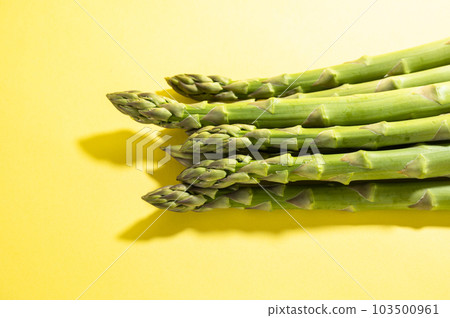 Fresh green asparagus Fresh green asparagus 103500961