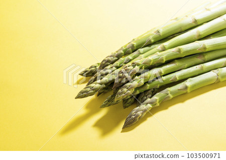 Fresh green asparagus Fresh green asparagus 103500971