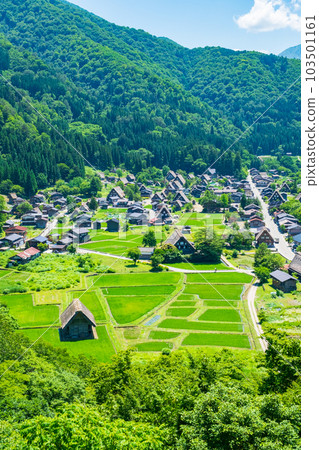 Shirakawa-go (summer) Shirakawa-go (summer) 103501161