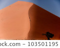 red sand dunes under oblique light 103501195