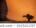 red sand dunes under oblique light 103501197