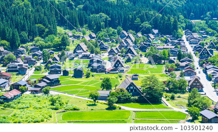 白川鄉(夏季) 白川鄉(夏季) 103501240