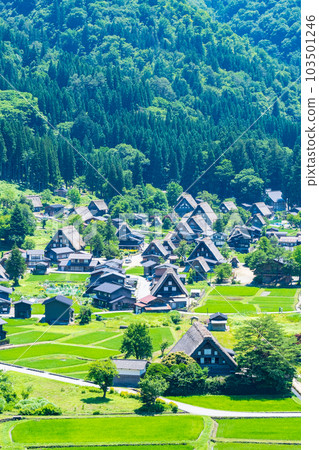 Shirakawa-go (summer) Shirakawa-go (summer) 103501246