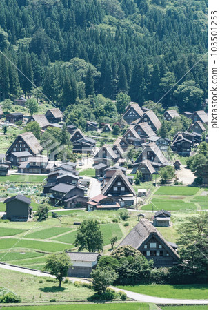 Shirakawa-go (summer) Shirakawa-go (summer) 103501253