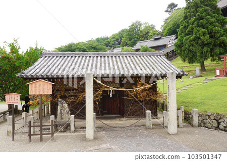 Todaiji Temple Todaiji Temple 103501347
