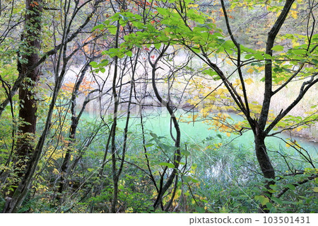 在五色沼欣賞紅葉（福島縣北鹽原村里磐梯禦都沼、五色沼） 103501431