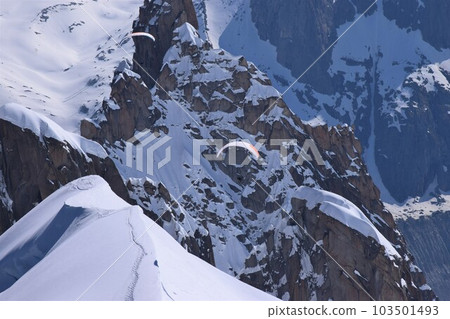 Paragliding flight in the French "Mont Blanc" mountain range 103501493