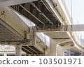 Elevated 103501971
