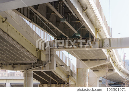 Elevated 103501971