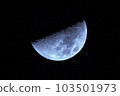 Moon  103501973