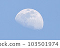 Moon  103501974