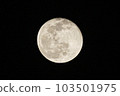 Moon  103501975