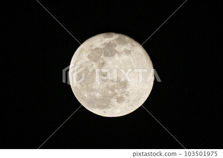 Moon  103501975