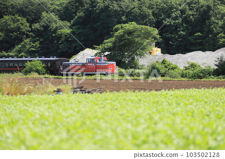 以美麗的綠色田野和碎石山為背景運行的內燃機車 103502128