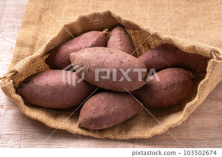 甘藷（貝尼馬薩里） 103502674