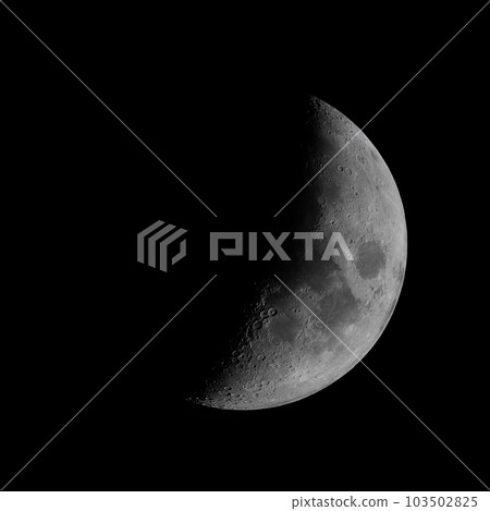 The moon 103502825