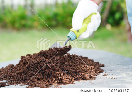 Peat moss, fertilizer soil for organic agriculture, plant growing, ecology concept. Peat moss, fertilizer soil for organic agriculture, plant growing, ecology concept. 103503187