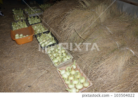 Part-time farmer's barn 103504022