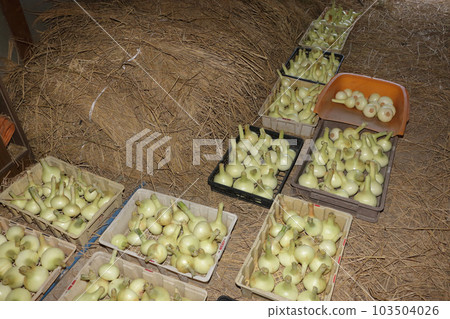 Part-time farmer's barn 103504026