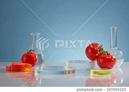 Mirror table displayed flasks and glass petri dishes filled with yellow fluid and tomato slices. Research and develop beauty skincare product concept of Tomato (Solanum lycopersicum) extract Mirror table displayed flasks and glass petri dishes filled with yellow fluid and tomato slices. Research and develop beauty skincare product concept of Tomato (Solanum lycopersicum) extract 103504183