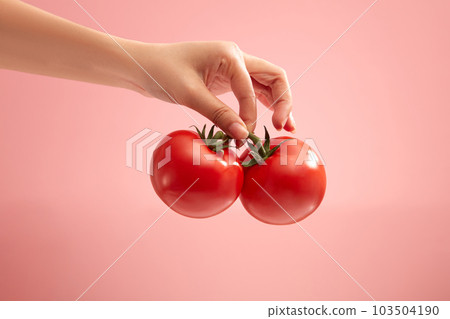 Over a light pink background, beautiful hand model holding two red tomatoes. Tomato (Solanum lycopersicum) is very useful in cosmetic production as an ingredient Over a light pink background, beautiful hand model holding two red tomatoes. Tomato (Solanum lycopersicum) is very useful in cosmetic production as an ingredient 103504190