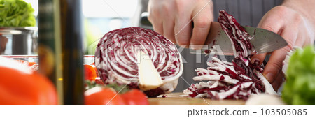 Closeup of a male cook hand using knife slicing fresh red cabbage on cutting board in kitchen at home Closeup of a male cook hand using knife slicing fresh red cabbage on cutting board in kitchen at home 103505085