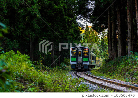 The Tadami Line running through autumn leaves and evergreen cedar forests in the mountains in the back The Tadami Line running through autumn leaves and evergreen cedar forests in the mountains in the back 103505476