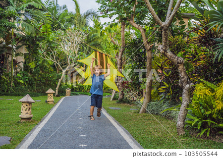 Boy launch a kite in the park in Ubud, Bali Island, Indonesia 103505544