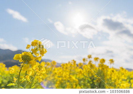 Fu Fuku no Sato 103506886