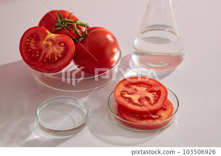 Fresh tomato and tomato sliced on petri dish displayed on white background with laboratory equipment. Empty cylindrical platform for cosmetics of tomato extract.  103506926